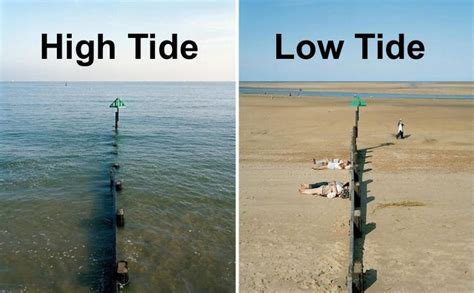 When is high tide lbi. Things To Know About When is high tide lbi. 